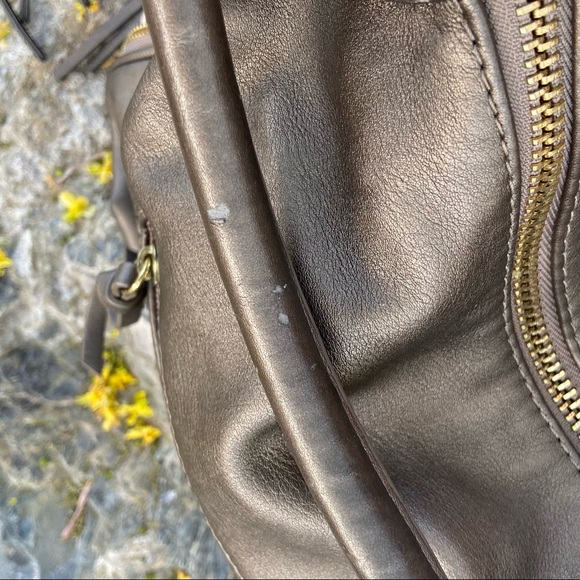 ⭐️Big Buddha Beautiful Bronze Bag - Picture 9 of 12